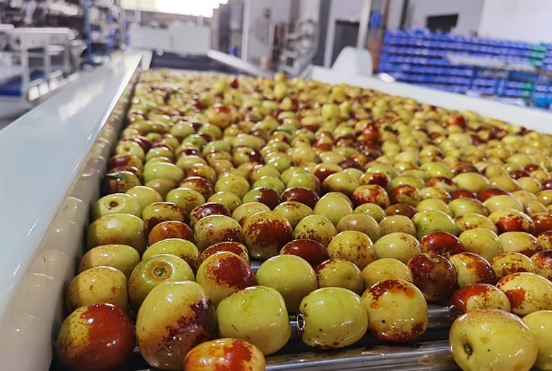 images/1690272397426dates inspection table.jpg